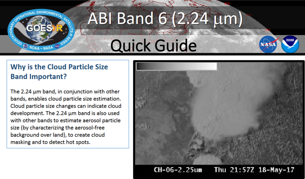 Band 6 Quick Guide